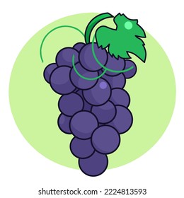 vector illustration of fresh grapes with circle background