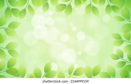 Vector illustration of fresh green and bokeh