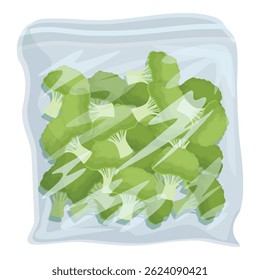 Illustration vectorielle de bouquets de brocoli frais et verts scellés dans un sachet en plastique transparent