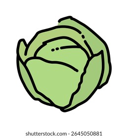Ilustração vetorial de uma cabeça de repolho verde fresca com contorno preto arrojado, simbolizando vegetal saudável e nutrição
