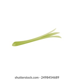 Vector illustration of fresh green celery. An organic health food icon with a crispy celery sprig sliced lengthwise is highlighted on a white background