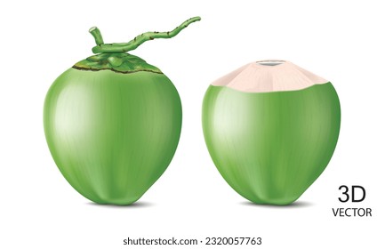 ilustración vectorial plantilla de diseño de cocos verdes frescos aislados en el fondo blanco.