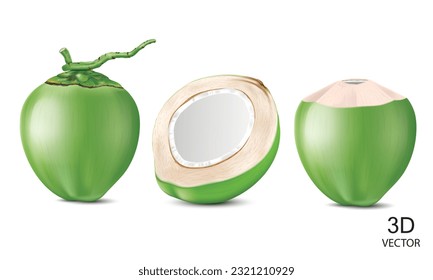 ilustración vectorial de cocos verdes frescos y mitad de cocos verdes aislados en el fondo blanco.uso para el sabroso concepto de bebida de coco verde.