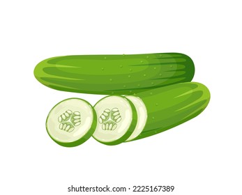 Ilustración vectorial, pepino verde fresco con rodajas, aislado sobre fondo blanco.