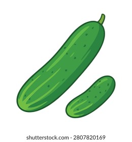 Vector illustration of fresh green cucumbers, large and small size with textured skin, healthy vegetable icon.