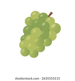 Ilustração vetorial de fresco verde uva Bunch com haste e brilhante redondo suculento bagas isoladas no fundo branco