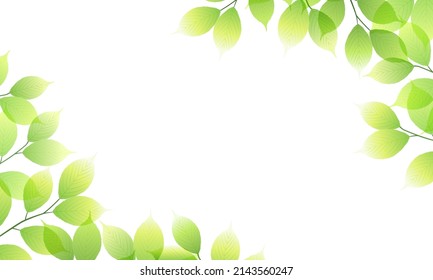 Vector illustration of fresh green leaves