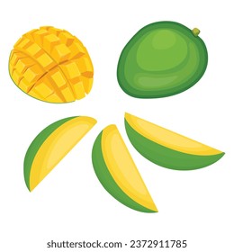 Vektorgrafik frischen grünen Mango in flachem Design. Ganz, zerschnitten und in verschiedenen Aussichten geschnitten. Exotische tropische Früchte aus landwirtschaftlichen Erzeugnissen. Gesunde organische Mangifera indica Illustration