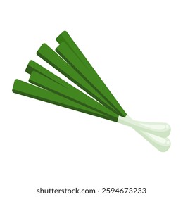 A vector illustration of fresh green onions, featuring a clean and simple design. Perfect for culinary illustrations and food related designs.