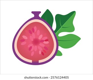 Vector illustration of fresh and half cut slice figs on isolated on white background. Fruits collection. Ripe delicious juicy figs whole, cut. Purple, pink with seeds green leafs. 