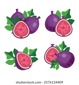 Vector illustration of fresh and half cut slice figs on isolated on white background. Fruits collection. Ripe delicious juicy figs whole, cut. Purple, pink with seeds green leafs. Set of figs.