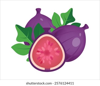 Vector illustration of fresh and half cut slice figs on isolated on white background. Fruits collection. Ripe delicious juicy figs whole, cut. Purple, pink with seeds green leafs. 