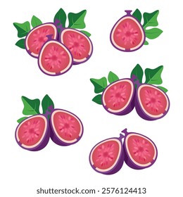 Vector illustration of fresh and half cut slice figs on isolated on white background. Fruits collection. Ripe delicious juicy figs whole, cut. Purple, pink with seeds green leafs. Set of figs.