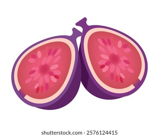 Vector illustration of fresh and half cut slice figs on isolated on white background. Fruits collection. Ripe delicious juicy figs whole, cut. Purple, pink with seeds green leafs. 