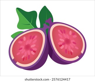 Vector illustration of fresh and half cut slice figs on isolated on white background. Fruits collection. Ripe delicious juicy figs whole, cut. Purple, pink with seeds green leafs. 