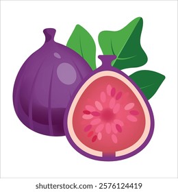 Vector illustration of fresh and half cut slice figs on isolated on white background. Fruits collection. Ripe delicious juicy figs whole, cut. Purple, pink with seeds green leafs. 