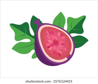 Vector illustration of fresh and half cut slice figs on isolated on white background. Fruits collection. Ripe delicious juicy figs whole, cut. Purple, pink with seeds green leafs. 