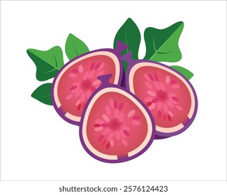 Vector illustration of fresh and half cut slice figs on isolated on white background. Fruits collection. Ripe delicious juicy figs whole, cut. Purple, pink with seeds green leafs. 