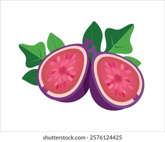 Vector illustration of fresh and half cut slice figs on isolated on white background. Fruits collection. Ripe delicious juicy figs whole, cut. Purple, pink with seeds green leafs. 