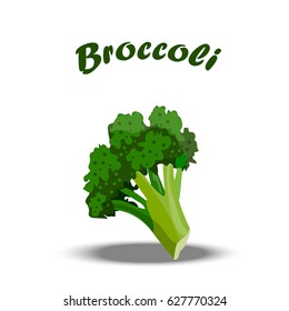 Vector illustration of fresh healthy broccoli, Summer healthy food design. vegetarian or diet vegetable menu.
