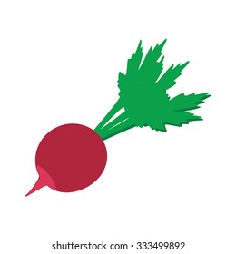Vector illustration fresh healthy vegetable radish. Radish flat icon