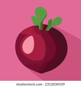 Vector illustration of fresh and juicy beet