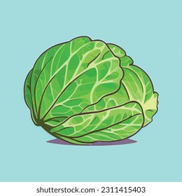 Vector illustration of fresh and juicy cabbage