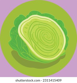 Vector illustration of fresh and juicy cabbage