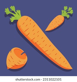 Vector illustration of fresh juicy carrot