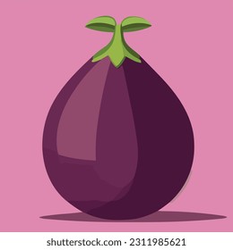 Vector illustration of fresh and juicy eggplant