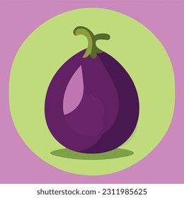 Vector illustration of fresh and juicy eggplant