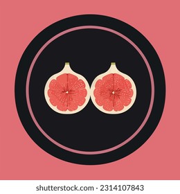 Vector illustration of fresh and juicy fig
