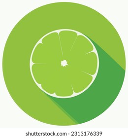 Vector illustration of fresh and juicy lime