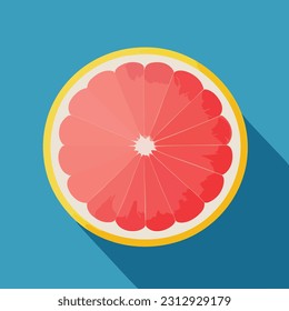 Vector illustration of fresh and juicy orange or grapefruit