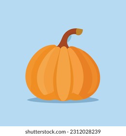 Vector illustration of fresh and juicy pumkin. Halloween pumpkin