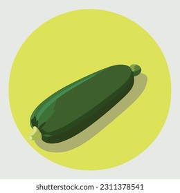 Ilustración vectorial de zucchini fresco y jugoso