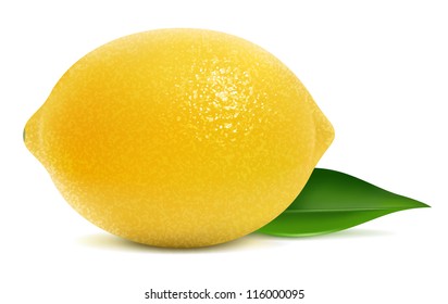 Vector illustration of fresh lemon