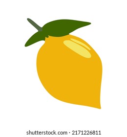 vector illustration, fresh lemon, flat cartoon design style.