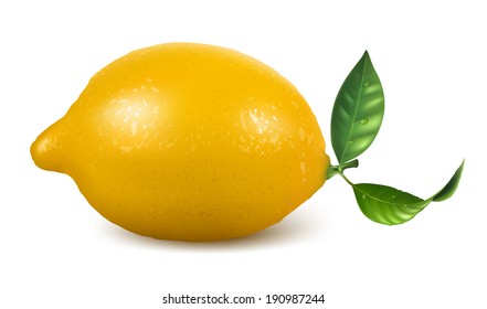 Vector illustration. Fresh lemon with leaves.