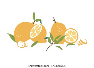 Vector illustration fresh lemons. Colorful summer citrus fruits collection