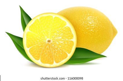 Vector illustration of fresh lemons with leaves