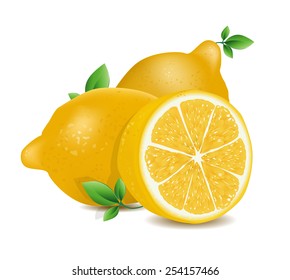 Vector illustration of fresh lemons with leaves 