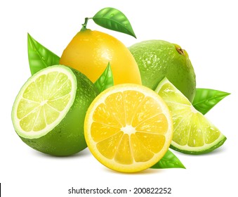 Vector illustration. Fresh lemons and limes with leaves.