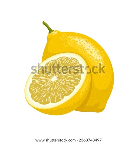 Vector illustration, fresh lemons, whole and halved, isolated on white background.
