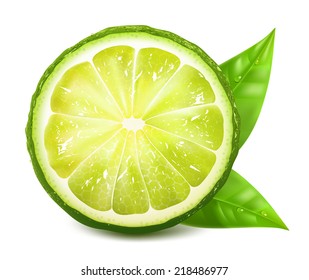 Vector illustration of fresh lime with leaves.