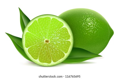 Vector illustration of fresh limes