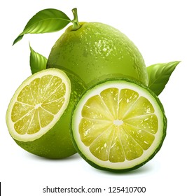 Vector illustration of fresh limes with leaves.