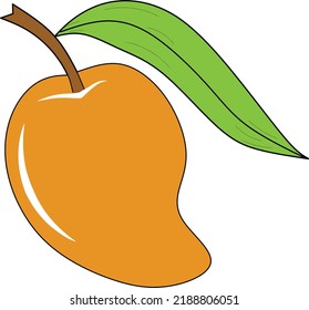 vector illustration of fresh mango fruit with white background
