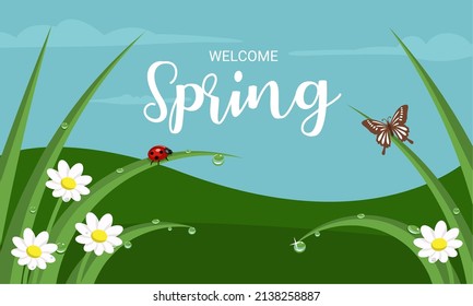 Vector illustration of fresh morning dew, butterflies and ladybugs on the grass, isolated on a white background, as a template or background, spring theme. svg