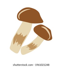 Vector illustration of fresh mushrooms on an isolated white background.